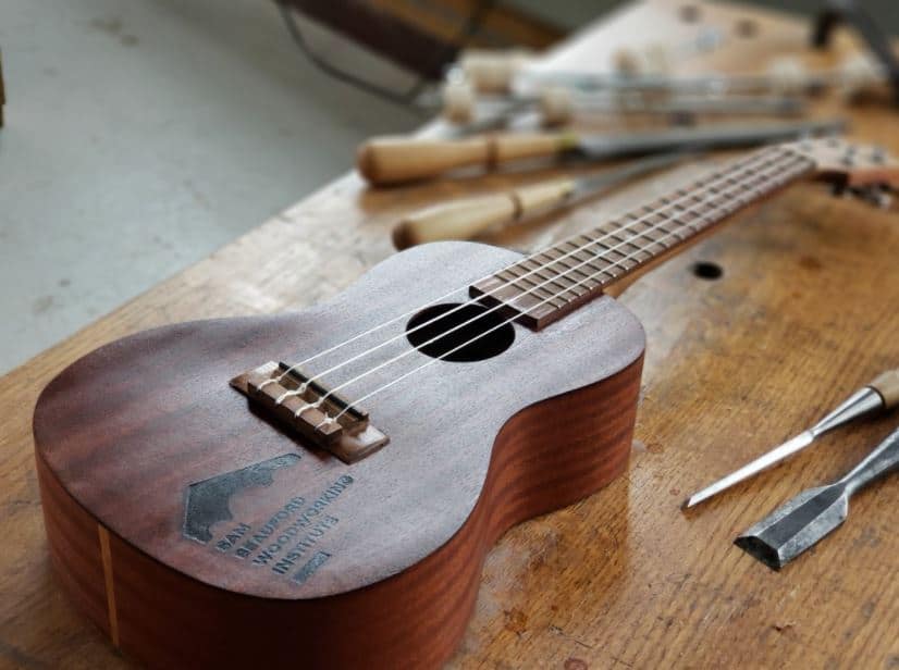 ukulele instrument