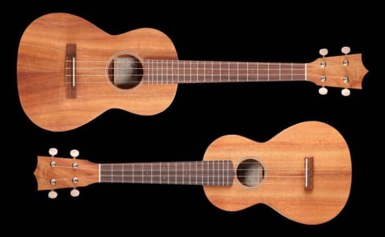 concert ukulele